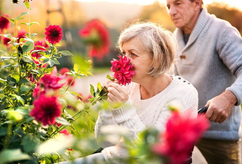 Link Between Sense of Smell and Alzheimer’s